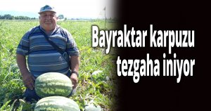 Bayraktar karpuzu tezgaha iniyor