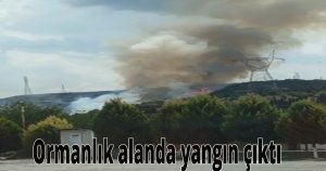 Ormanlık alanda yangın çıktı