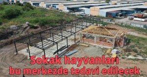  Sokak hayvanları bu merkezde tedavi edilecek