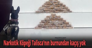 Kocaeli Polisinden uyuşturucu operasyonu