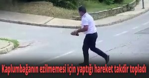 Kaplumbağanın ezilmemesi için yaptığı hareket takdir topladı