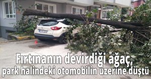 Fırtınanın devirdiği ağaç, park halindeki otomobilin üzerine düştü