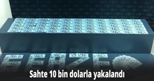 Sahte 10 bin dolarla yakalandı