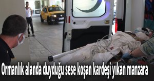 Ormanlık alanda duyduğu sese koşan kardeşi yıkan manzara