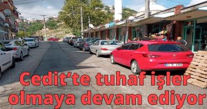 Feci kazada can veren kardeşlere acı veda