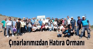  Çınarlarımızdan Hatıra Ormanı