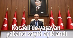 Kocaeli'de yaşayan yabancı sayısı açıklandı