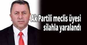 Ak Partili meclis üyesi silahla yaralandı