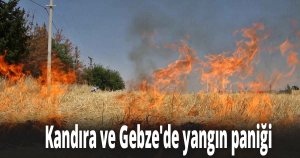 Kandıra ve Gebze'de yangın paniği