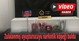 Zulalanmış uyuşturucuyu narkotik köpeği buldu