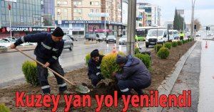    D-100 kuzey yan yolda yeşillendirme çalışması