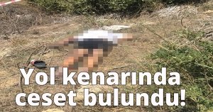 Yol kenarındaki  cesedin kimliği belli oldu!