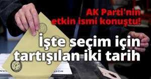 AK Parti'nin etkin ismi konuştu!