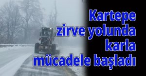 Kartepe zirve yolunda karla mücadele başladı