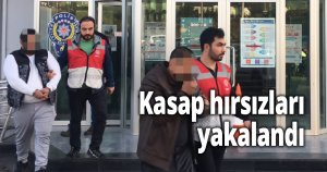 Kasap hırsızları yakalandı