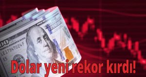 Dolar yeni rekor kırdı!