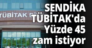 SENDİKA TÜBİTAK'da Yüzde 45 zam istiyor