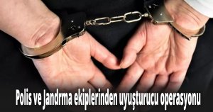 Polis ve Jandrma ekiplerinden uyuşturucu operasyonu