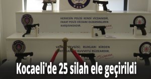 Kocaeli'de 25 silah ele geçirildi
