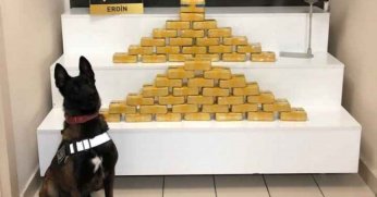  “Kim bilir kaç hayat karartılacaktı?