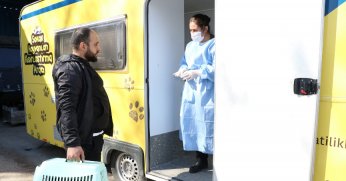 AŞI VE PARAZİT İLAÇLARI YAPILIYOR