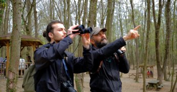 Ormanya’da kuş gözlem turuna yoğun ilgi