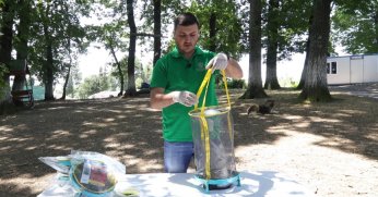 Vektör mücadelesinde karasinek tuzağı