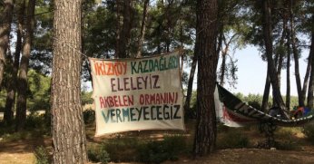 Akbelen ormanları kâr ve rant uğruna yağmalanıyor