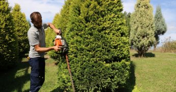 Park ve bahçelerde sonbahar budaması