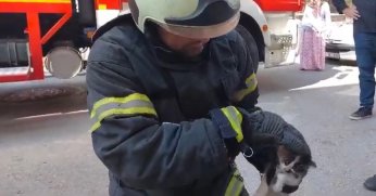 Lavaboya sıkışan yavru kedi kurtarıldı