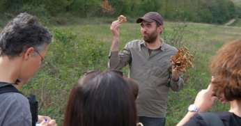 Ormanya’da mantar avı düzenlendi