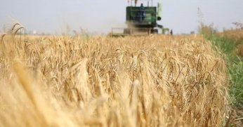 Tarımsal girdi fiyat endeksi arttı