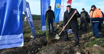 Kocaeli'de 10 Bin ağaç dikeceğiz