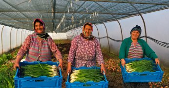 Tarımsal destekler 2023’te çiftçinin yüzünü güldürdü;