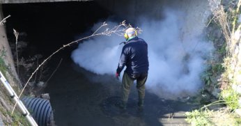 Kocaeli’nin sağlığı için sivrisinekle mücadeleye devam