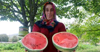 Karpuz tohumu üreticilere teslim ediliyor