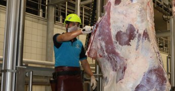 Kurban kesim başvuruları 3 Haziran’da başlıyor