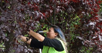 Dalından topladılar, sevgilerini de kattılar 