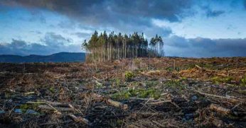 Ekolojik yıkıma karşı bir gün değil her gün mücadele!