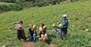  hibrit karpuz tohumları fide haline dönüştürülerek toprakla buluştu