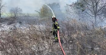 Otluk alanda çıkan ve rüzgarın etkisiyle büyüdü