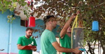 Büyükşehir’in karasinek kapanları çok işe yarıyor