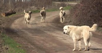 İşte yasa teklifinin son hali