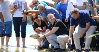 Derince’de İstilacı Balıklar Bertaraf Edildi