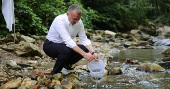 Büyükşehir, Kirazdere’ye 8 bin adet alabalık saldı