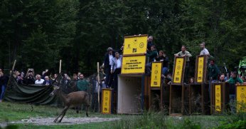 Doğa dostu Büyükşehir ekosistemi koruyor