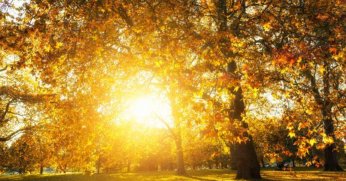 Pastırma yazı başlıyor