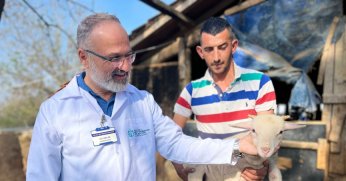 Büyükşehir’in koç desteğiyle 5.400 kuzu doğdu