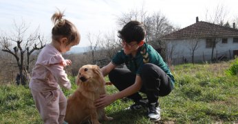 Alex yeni yuvasına kavuştu