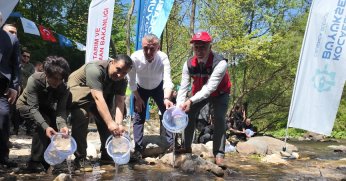 Kirazdere’ye 2 yılda 16 bin alabalık salındı